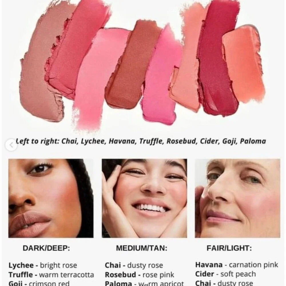 Beautycounter Goji Cheeky Clean Cream Blush Discontinued NIB
